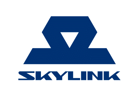 Skylink интернет